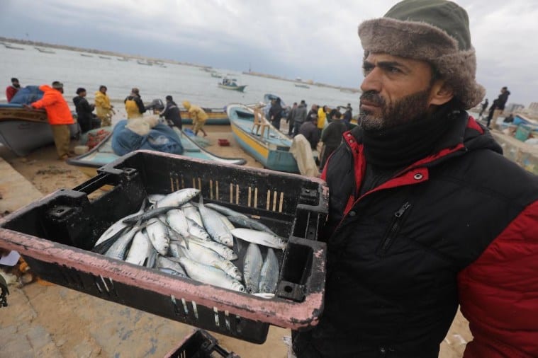 Grandes Ondas De Peixes Em Gaza Ap S Dias De Mar Agitado Monitor Do